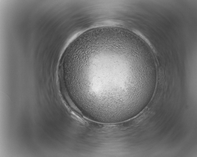 X0000052551477200507152147