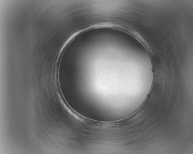 X0000052551484200507152146