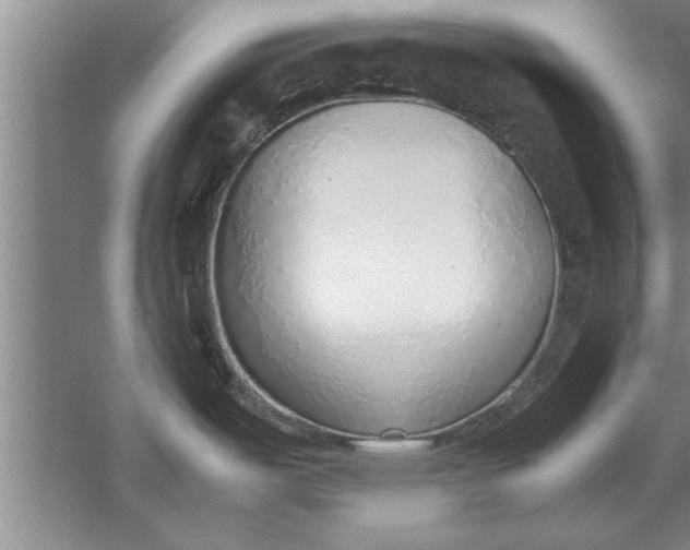 X0000052551487200507152146