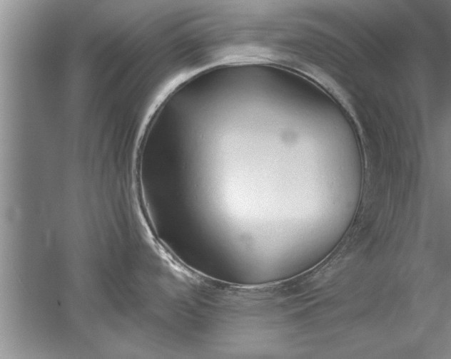 X0000052551488200507152146