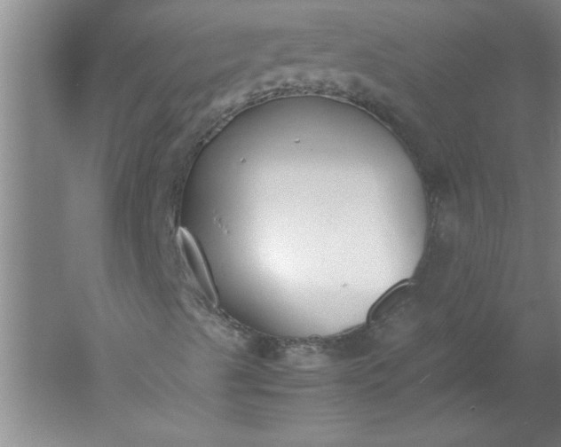 X0000052551489200507152146