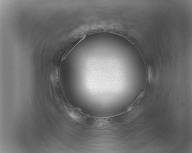 X0000052551492200507152146