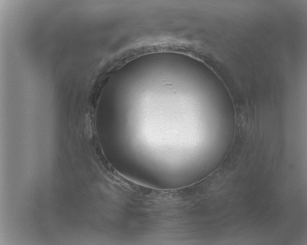 X0000052551493200507152146