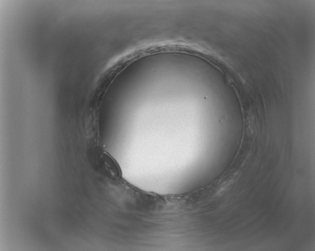 X0000052551494200507152146