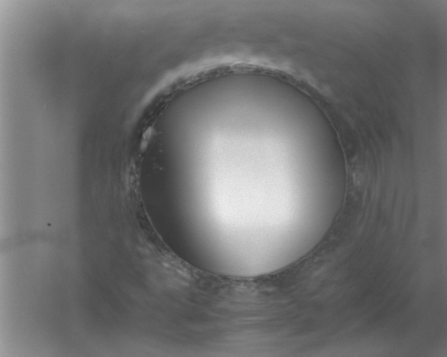 X0000052551495200507152146