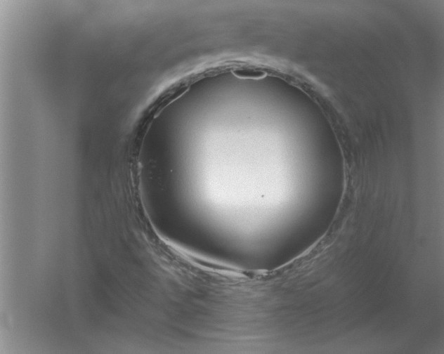 X0000052551496200507152146