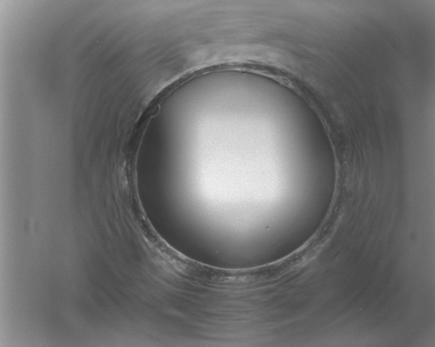 X0000052551497200507152146