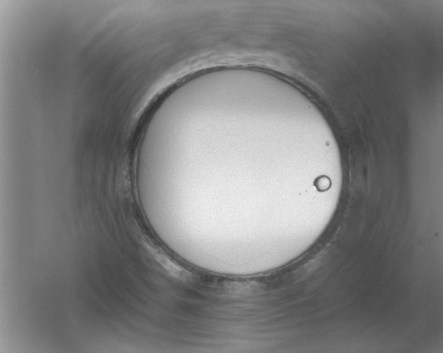 X0000052551498200507152146