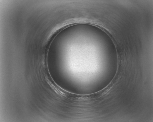 X0000052551499200507152146