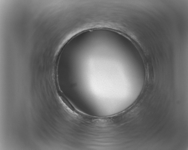 X0000052551500200507152146