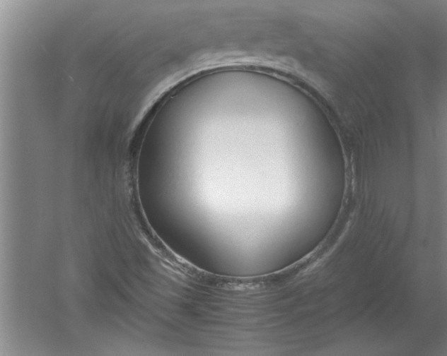 X0000052551501200507152146