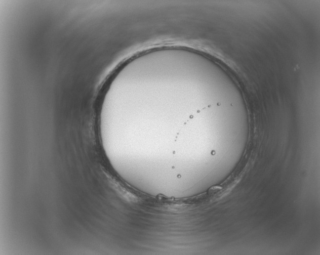 X0000052551502200507152146