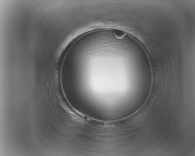 X0000052551503200507152146