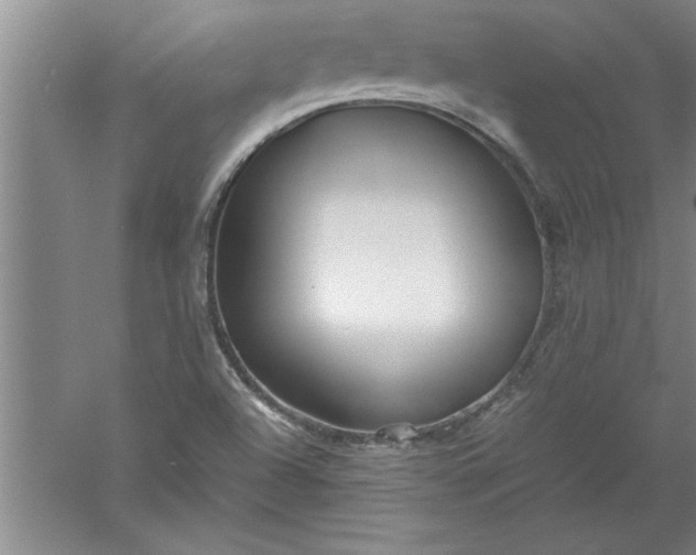 X0000052551504200507152146