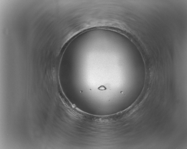 X0000052551505200507152146