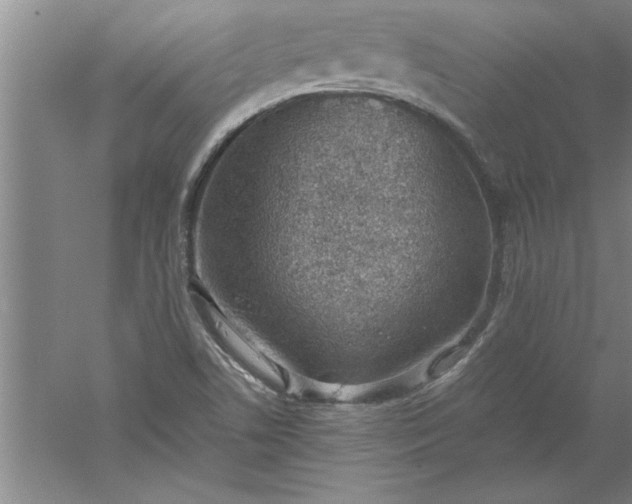 X0000052551506200507152146