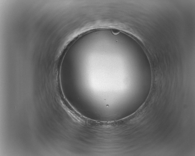 X0000052551507200507152146