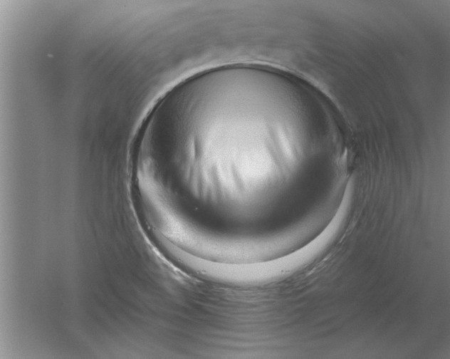 X0000052551508200507152146