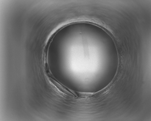 X0000052551510200507152146