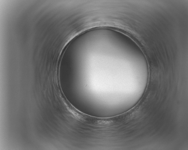 X0000052551513200507152146