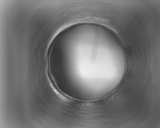 X0000052551515200507152146