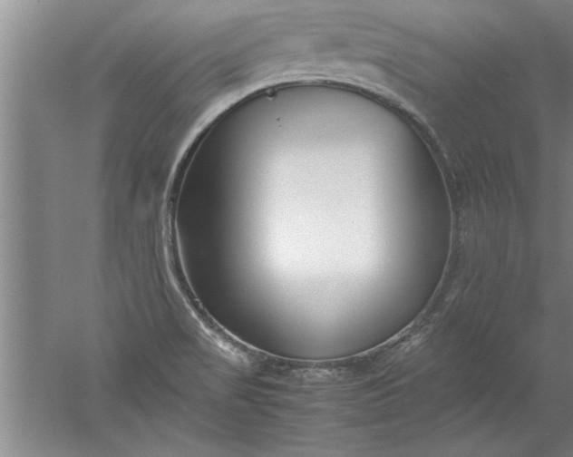 X0000052551517200507152146