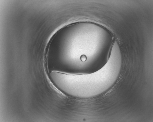 X0000052551518200507152146