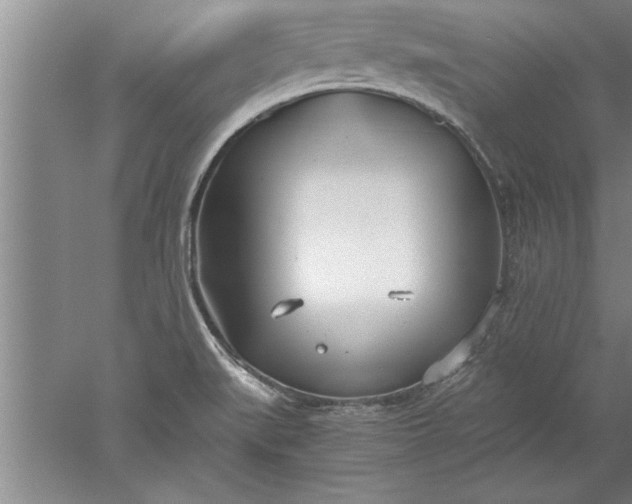 X0000052551519200507152146