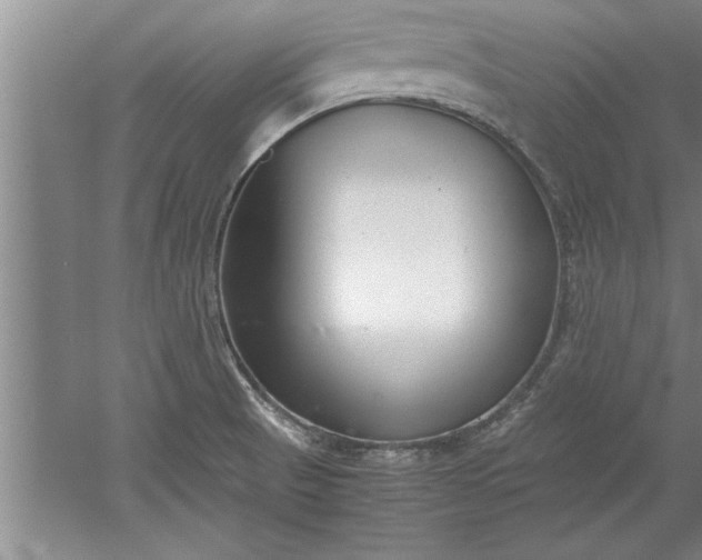 X0000052551521200507152146