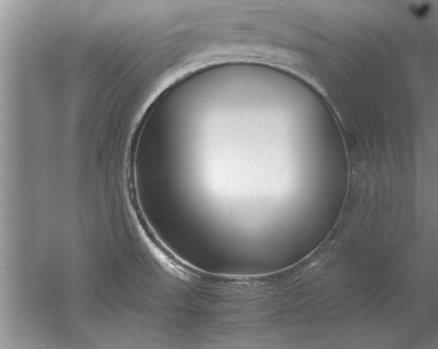 X0000052551523200507152146