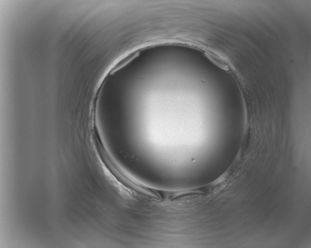 X0000052551524200507152146