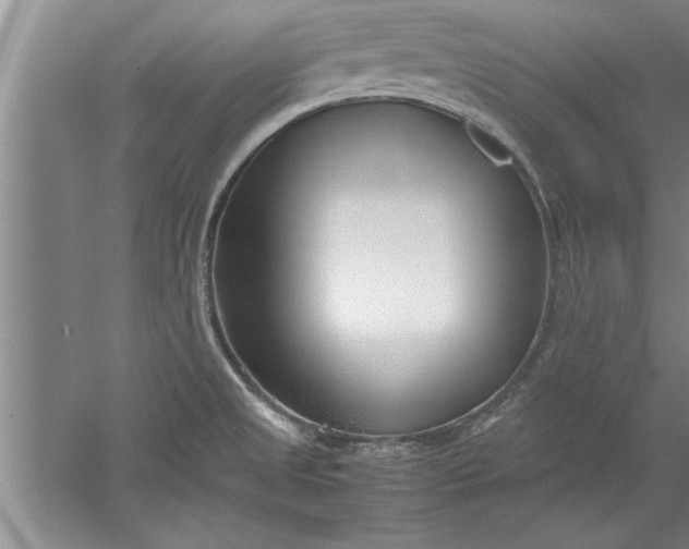 X0000052551525200507152146