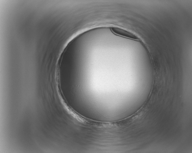 X0000052551526200507152146