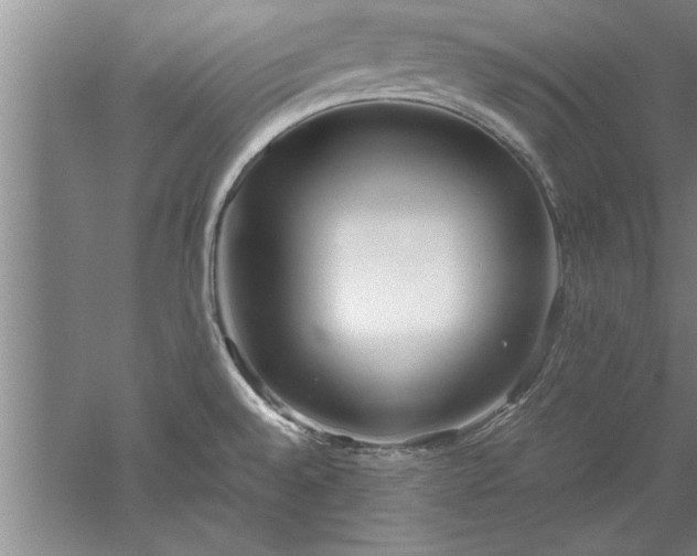 X0000052551528200507152146