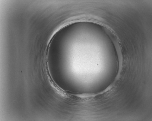 X0000052551530200507152146