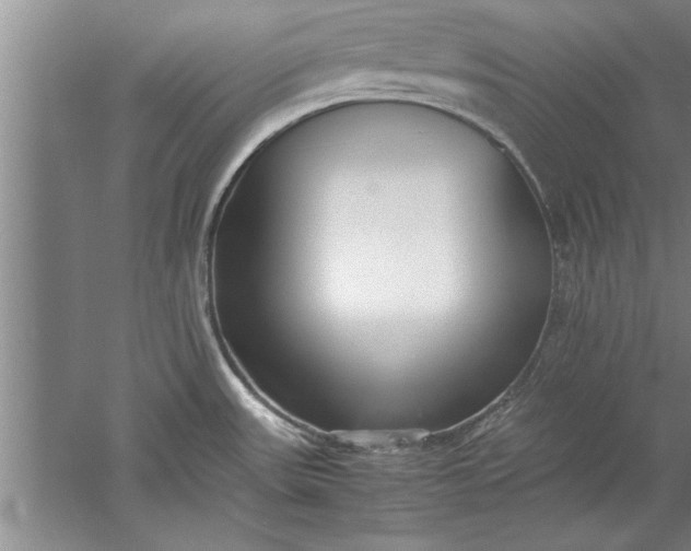 X0000052551531200507152146