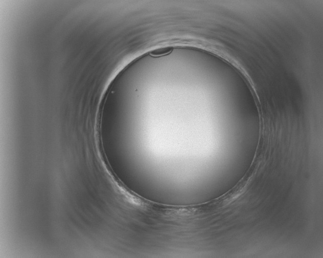 X0000052551533200507152146