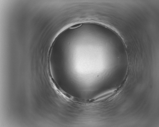 X0000052551534200507152146