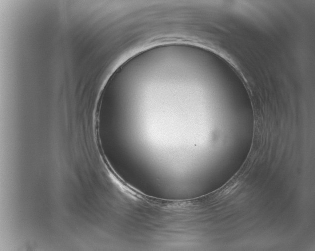 X0000052551535200507152146