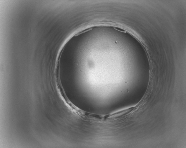 X0000052551536200507152146