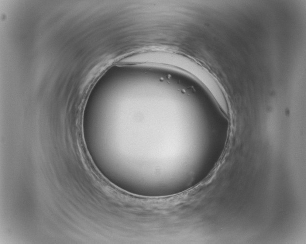 X0000052550001200507221503