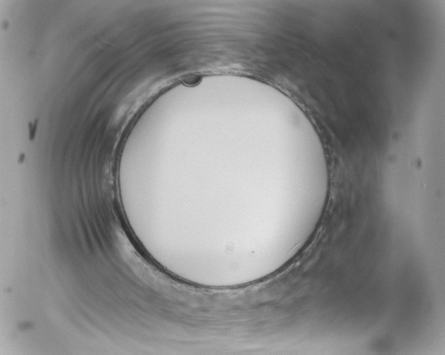 X0000052550002200507221503