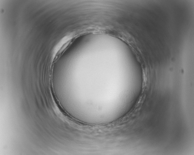 X0000052550003200507221503