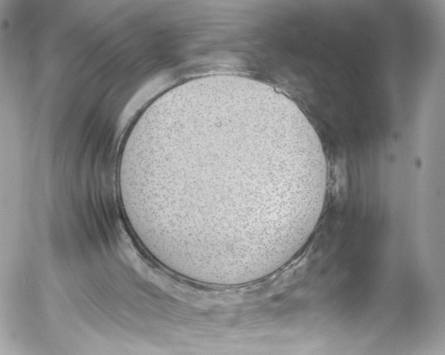 X0000052550004200507221503