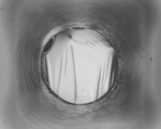 X0000052550006200507221503