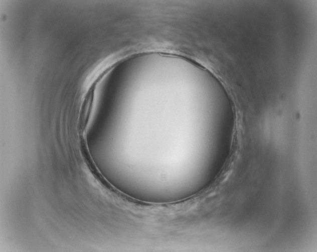 X0000052550007200507221503