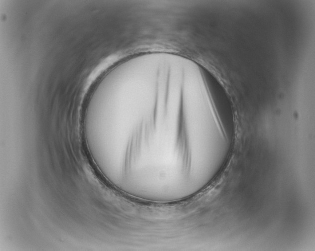 X0000052550008200507221503