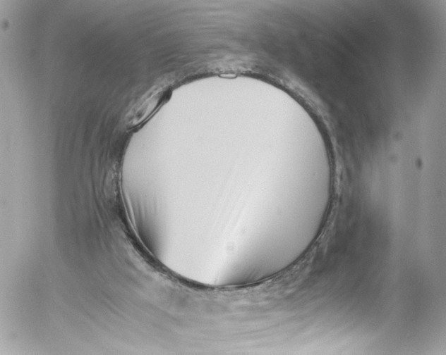 X0000052550009200507221503