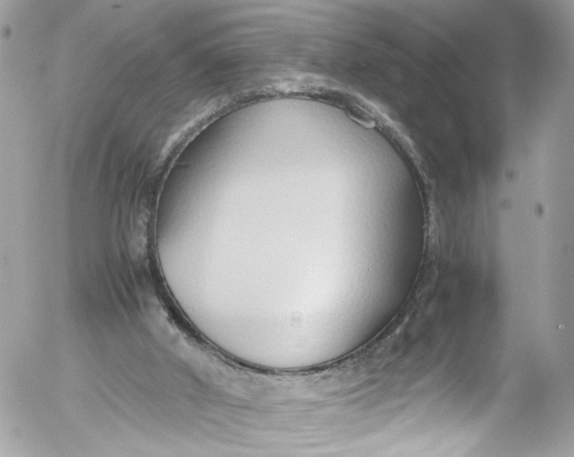 X0000052550010200507221503