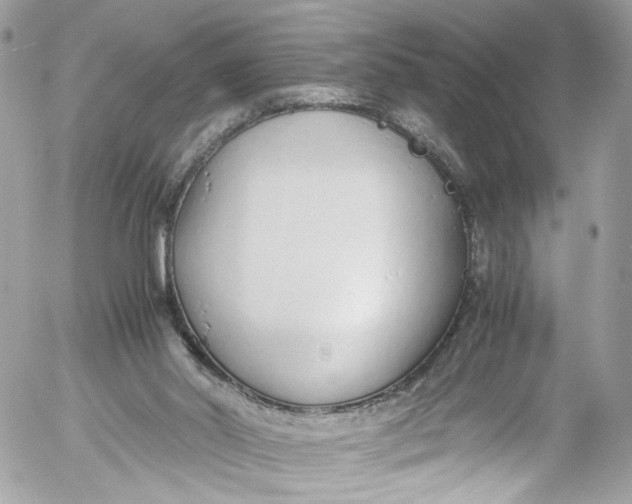 X0000052550014200507221503